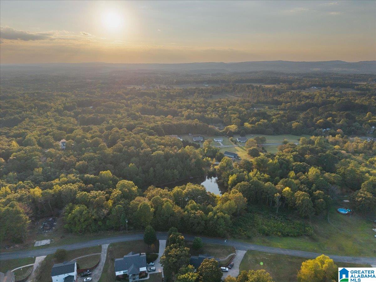0 Shady Point Road, Unit 18 18 & 19 Locust Fork, AL 35097 - Photo 22 of 26