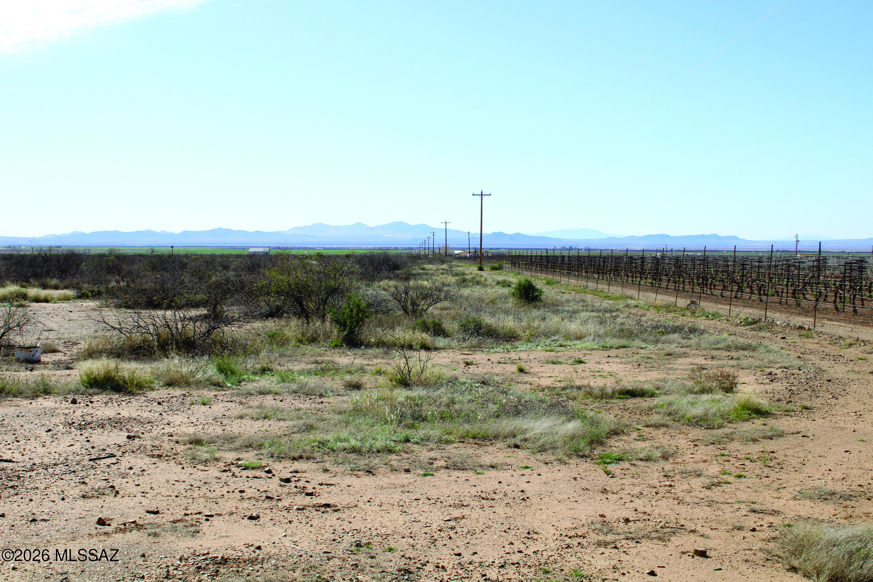120-acres South Wayward Winds Road Willcox, AZ 85643 - Photo 16 of 22 IMG_1413.JPG