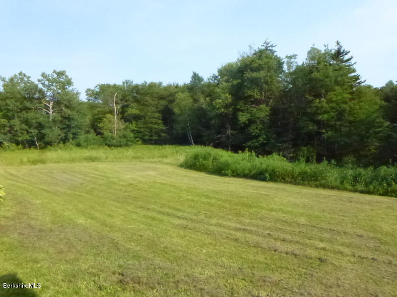 148 Mohawk Trail Florida, MA 01247 - Photo 5 of 18 a view of a field with a trees in the background