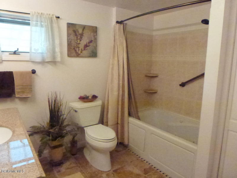 148 Mohawk Trail Florida, MA 01247 - Photo 9 of 18 a bathroom with a toilet and a shower