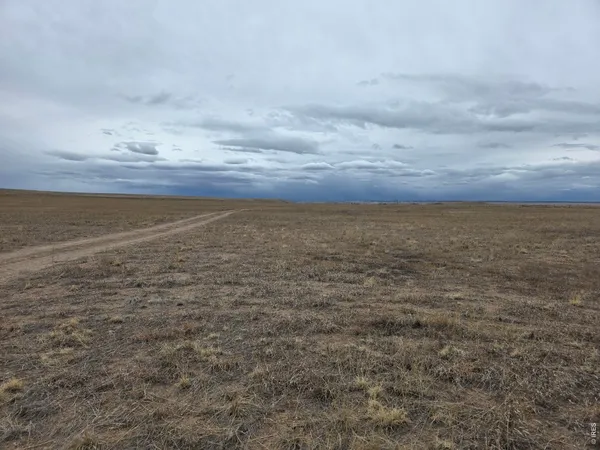 $310,000 | 126 1/2 County Road, Carr, CO 80612