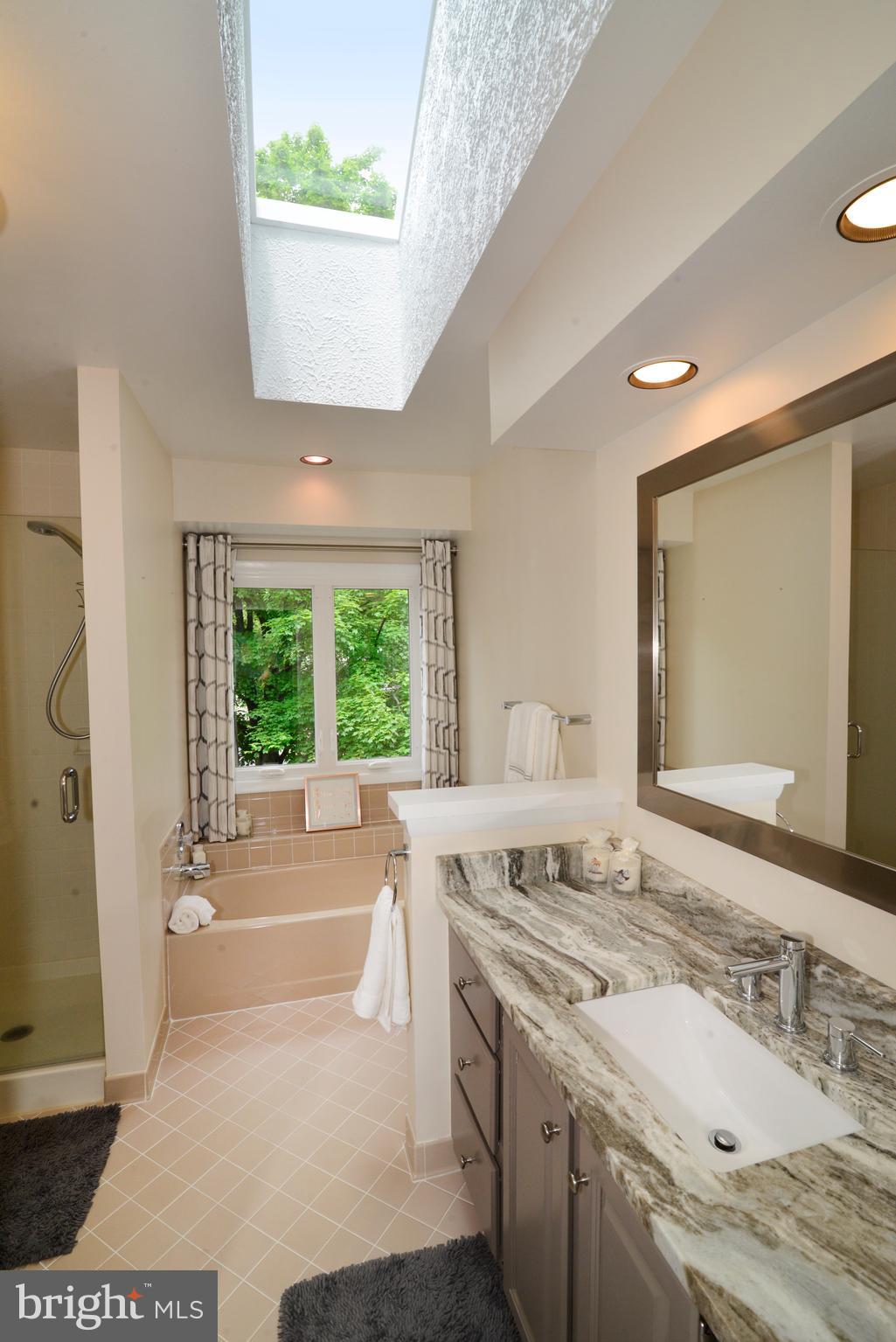 11609 Chapel Cross Way Reston, VA 20194 - Photo 19 of 32 Master Bath with Skylight.