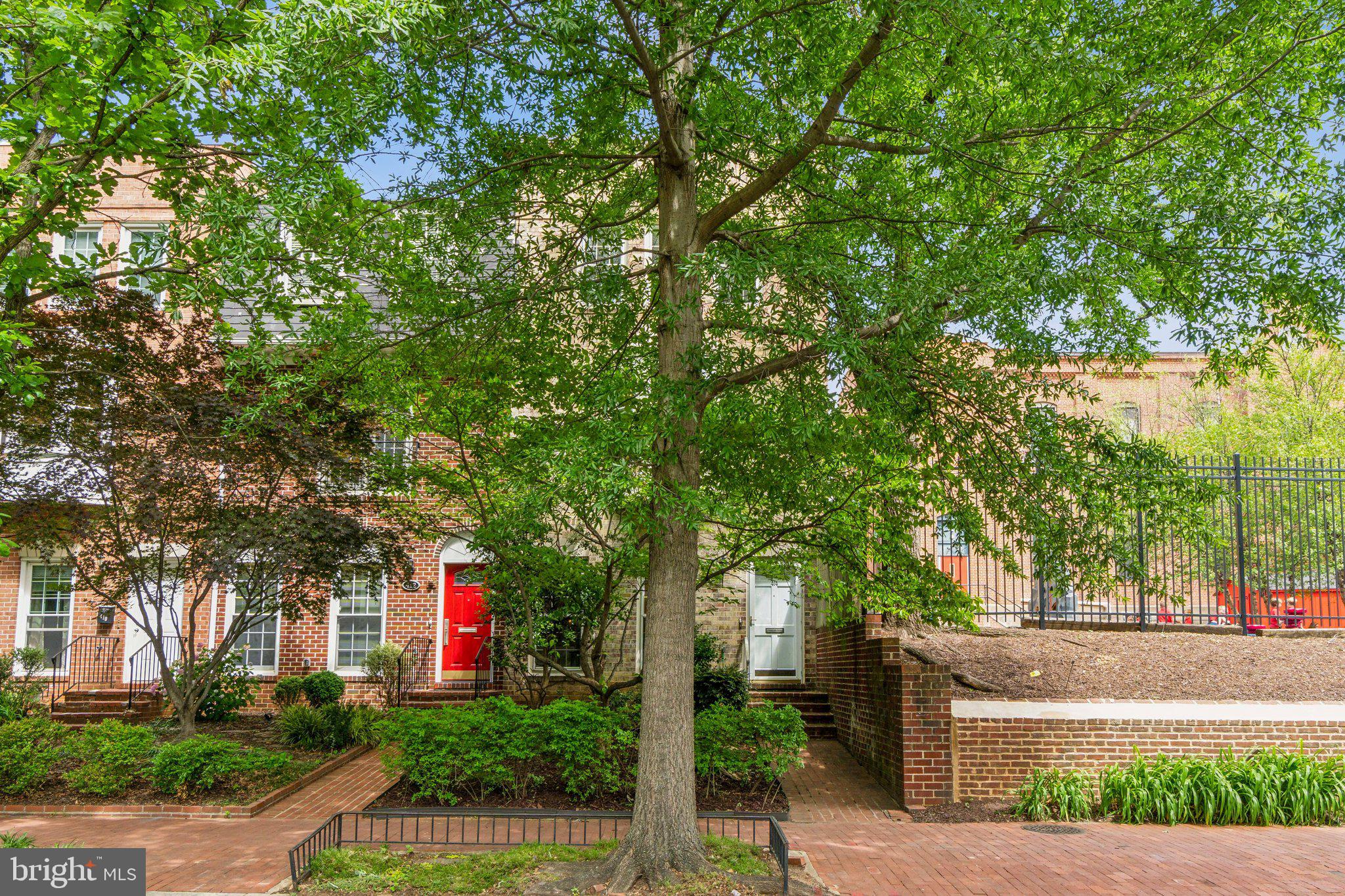 Tree lined 4th St SE