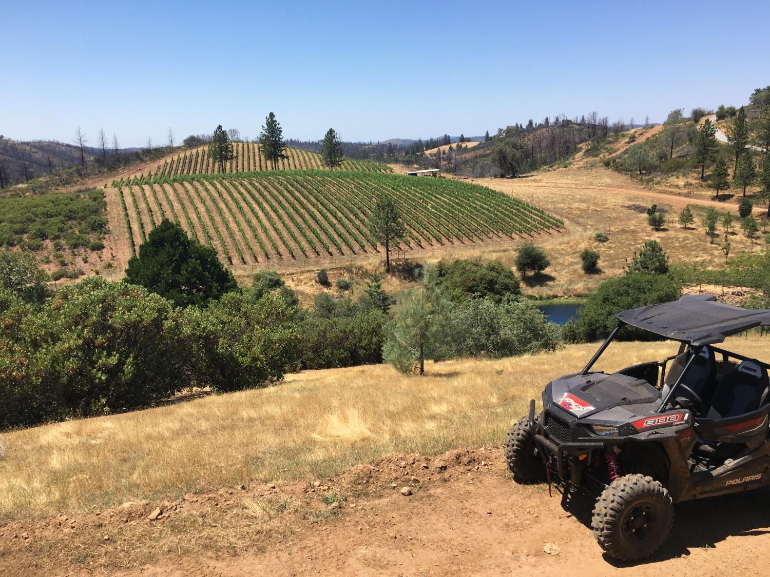 7005 Mountain Ranch Road Mountain Ranch, CA 95246 - Photo 14 of 90