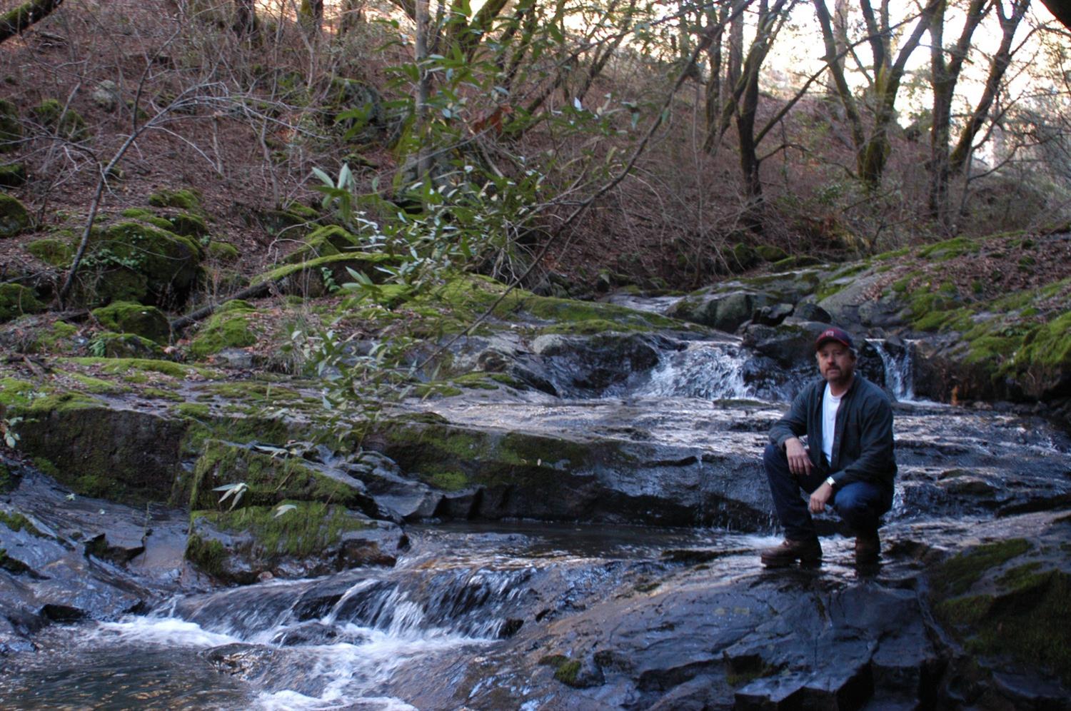 7005 Mountain Ranch Road Mountain Ranch, CA 95246 - Photo 17 of 90 a view of a backyard with plants and trees