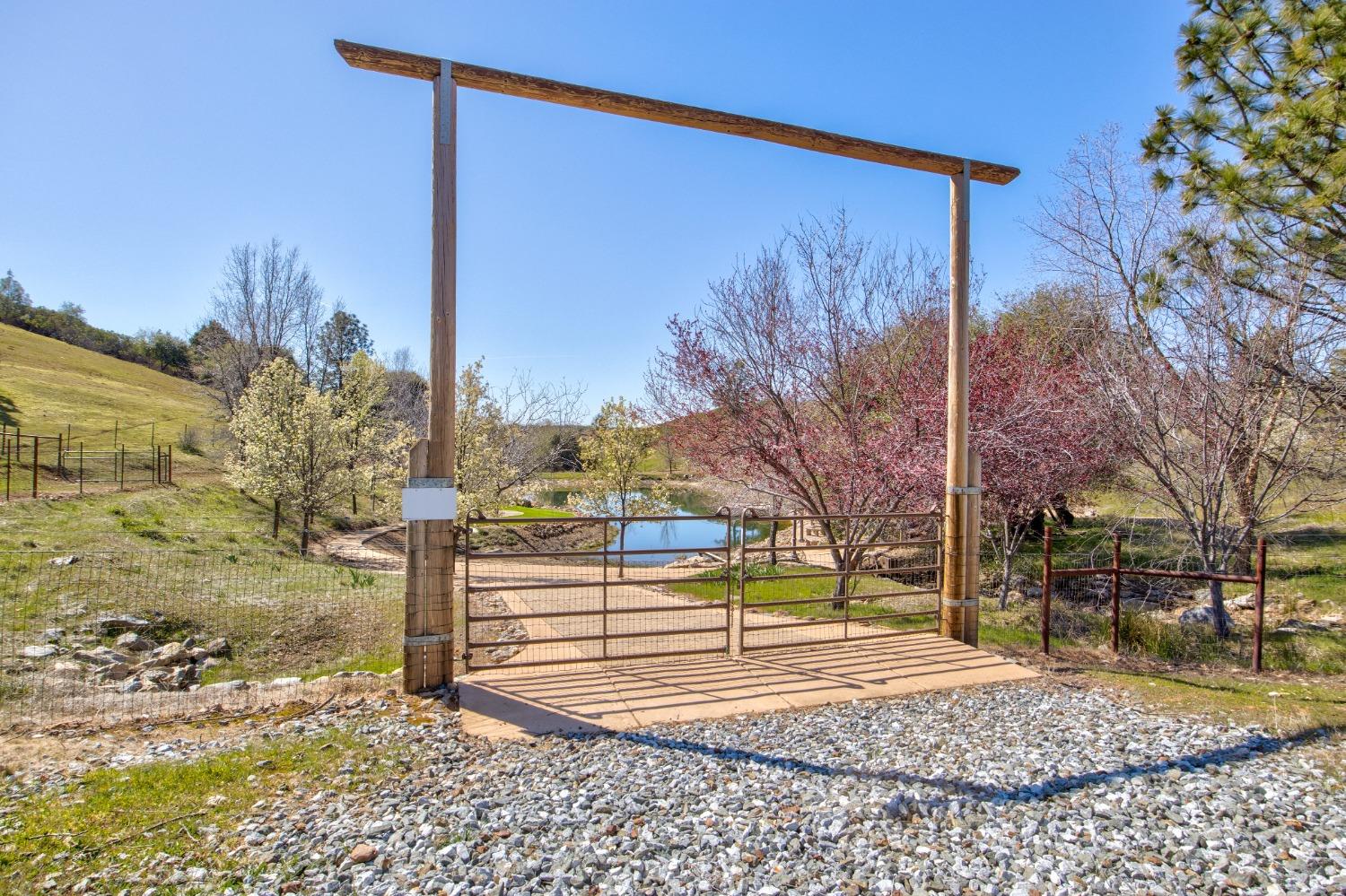 7005 Mountain Ranch Road Mountain Ranch, CA 95246 - Photo 19 of 90 a view of a house with a yard