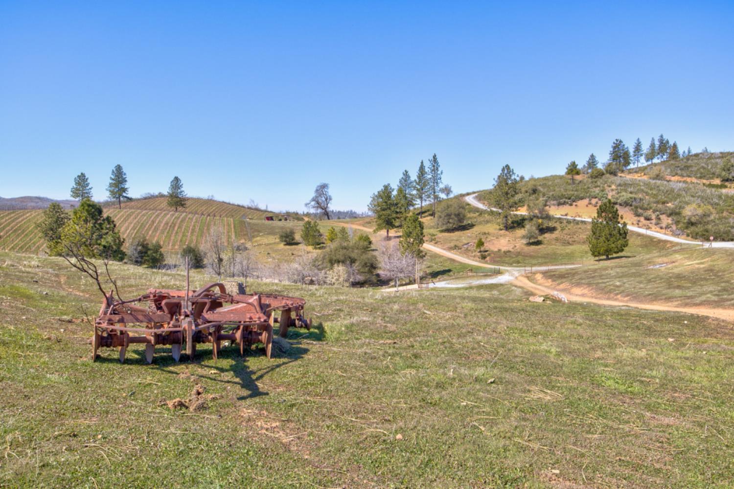 7005 Mountain Ranch Road Mountain Ranch, CA 95246 - Photo 2 of 90 a view of a outdoor space