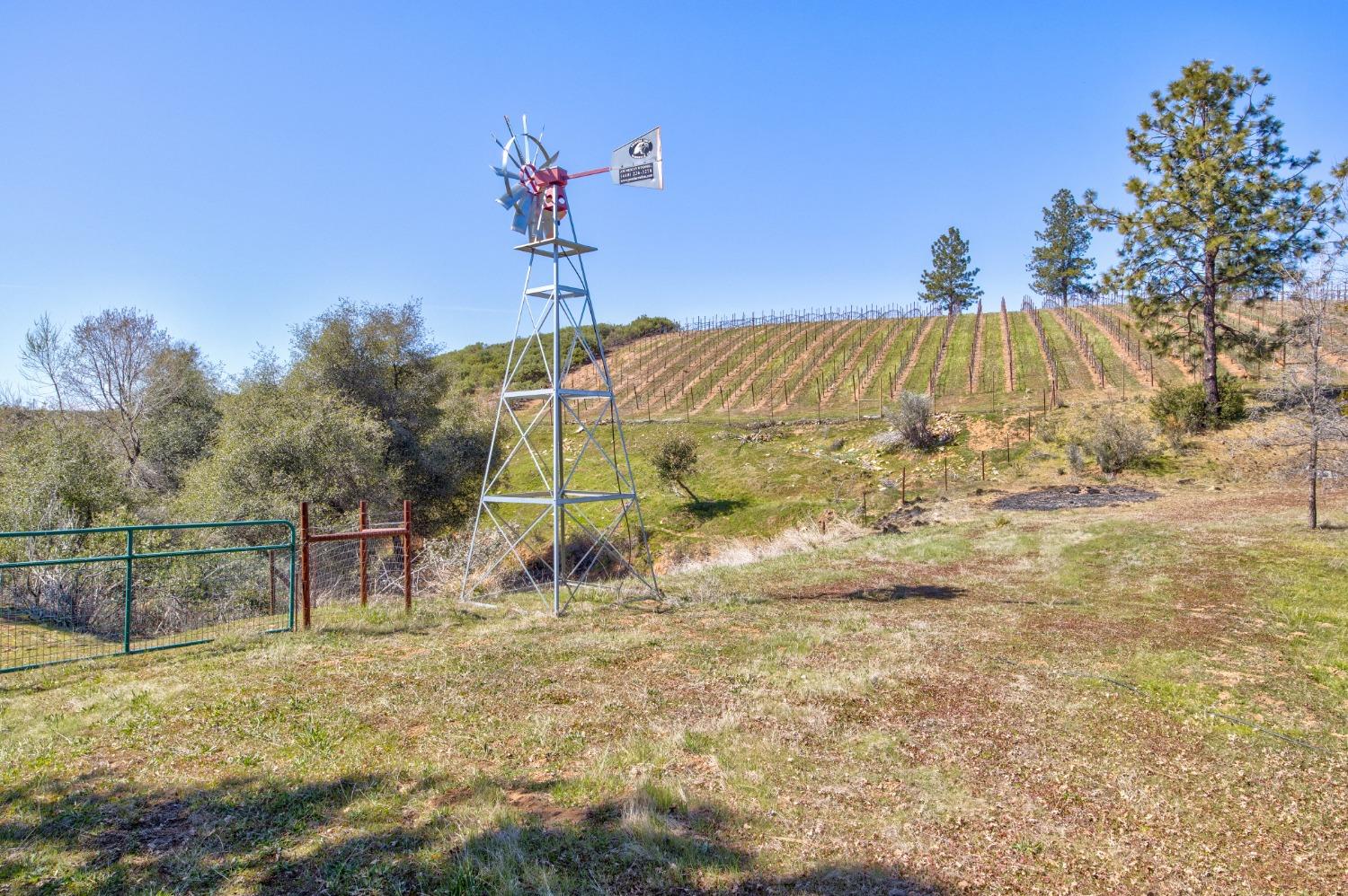 7005 Mountain Ranch Road Mountain Ranch, CA 95246 - Photo 38 of 90 a view of outdoor space and yard