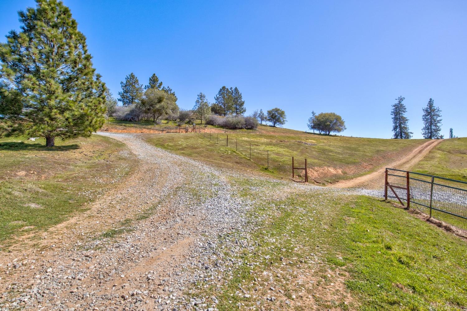 7005 Mountain Ranch Road Mountain Ranch, CA 95246 - Photo 40 of 90