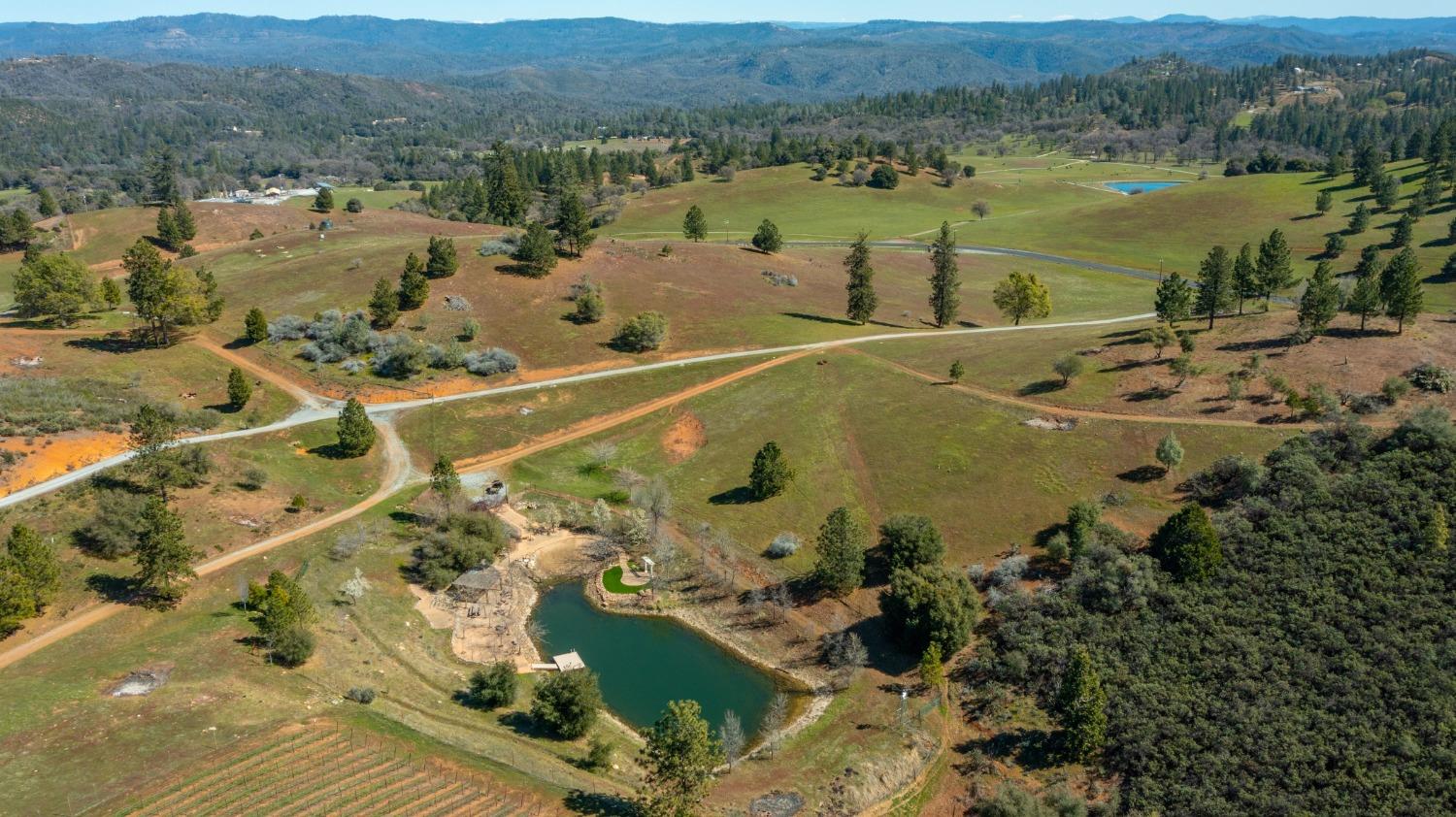 7005 Mountain Ranch Road Mountain Ranch, CA 95246 - Photo 4 of 90