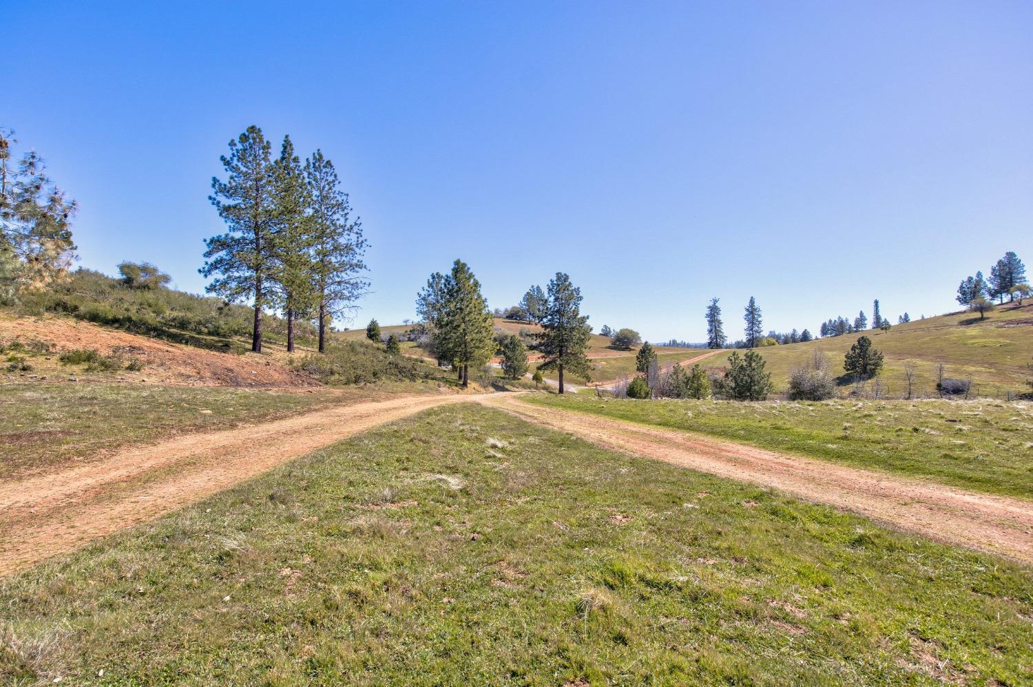 7005 Mountain Ranch Road Mountain Ranch, CA 95246 - Photo 41 of 90 a view of a backyard of a house