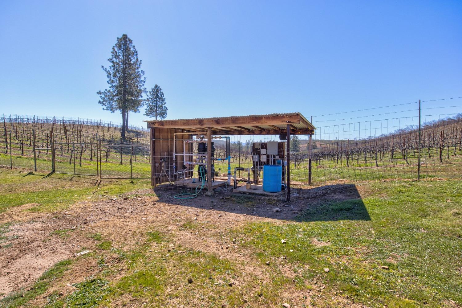 7005 Mountain Ranch Road Mountain Ranch, CA 95246 - Photo 45 of 90