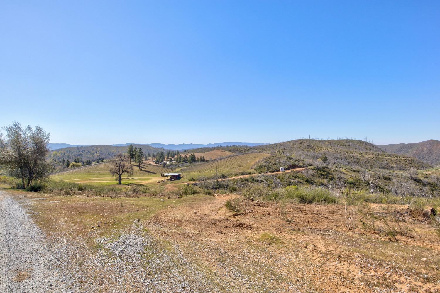 7005 Mountain Ranch Road Mountain Ranch, CA 95246 - Photo 46 of 90