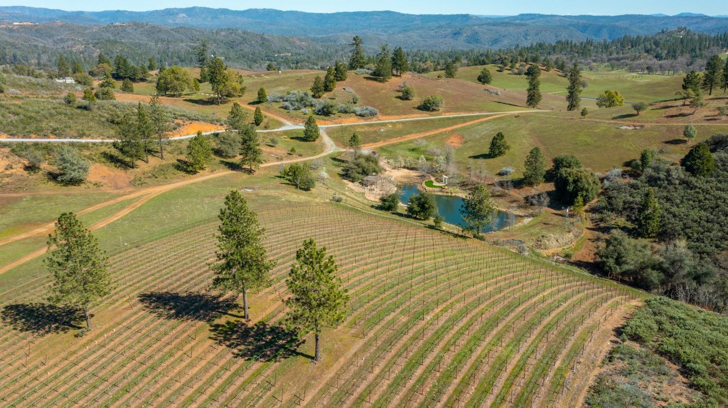 7005 Mountain Ranch Road Mountain Ranch, CA 95246 - Photo 5 of 90 a view of lake view and mountain view