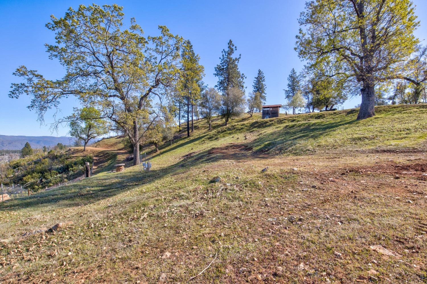 7005 Mountain Ranch Road Mountain Ranch, CA 95246 - Photo 52 of 90 a view of dirt yard with a large tree