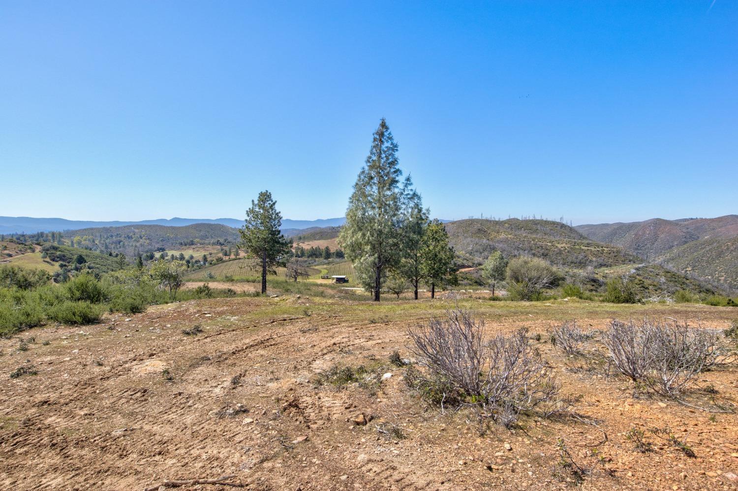 7005 Mountain Ranch Road Mountain Ranch, CA 95246 - Photo 56 of 90 a view of dirt field with trees in background