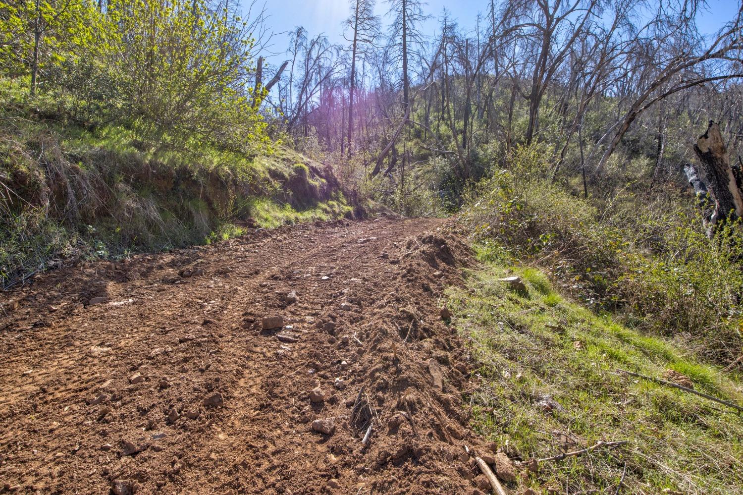7005 Mountain Ranch Road Mountain Ranch, CA 95246 - Photo 57 of 90 a view of a yard with a tree