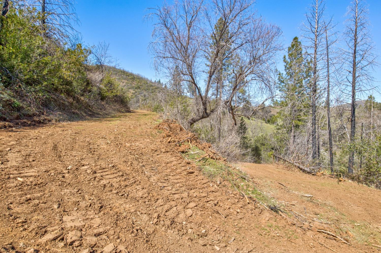 7005 Mountain Ranch Road Mountain Ranch, CA 95246 - Photo 58 of 90 a view of a yard covered with snow in the background