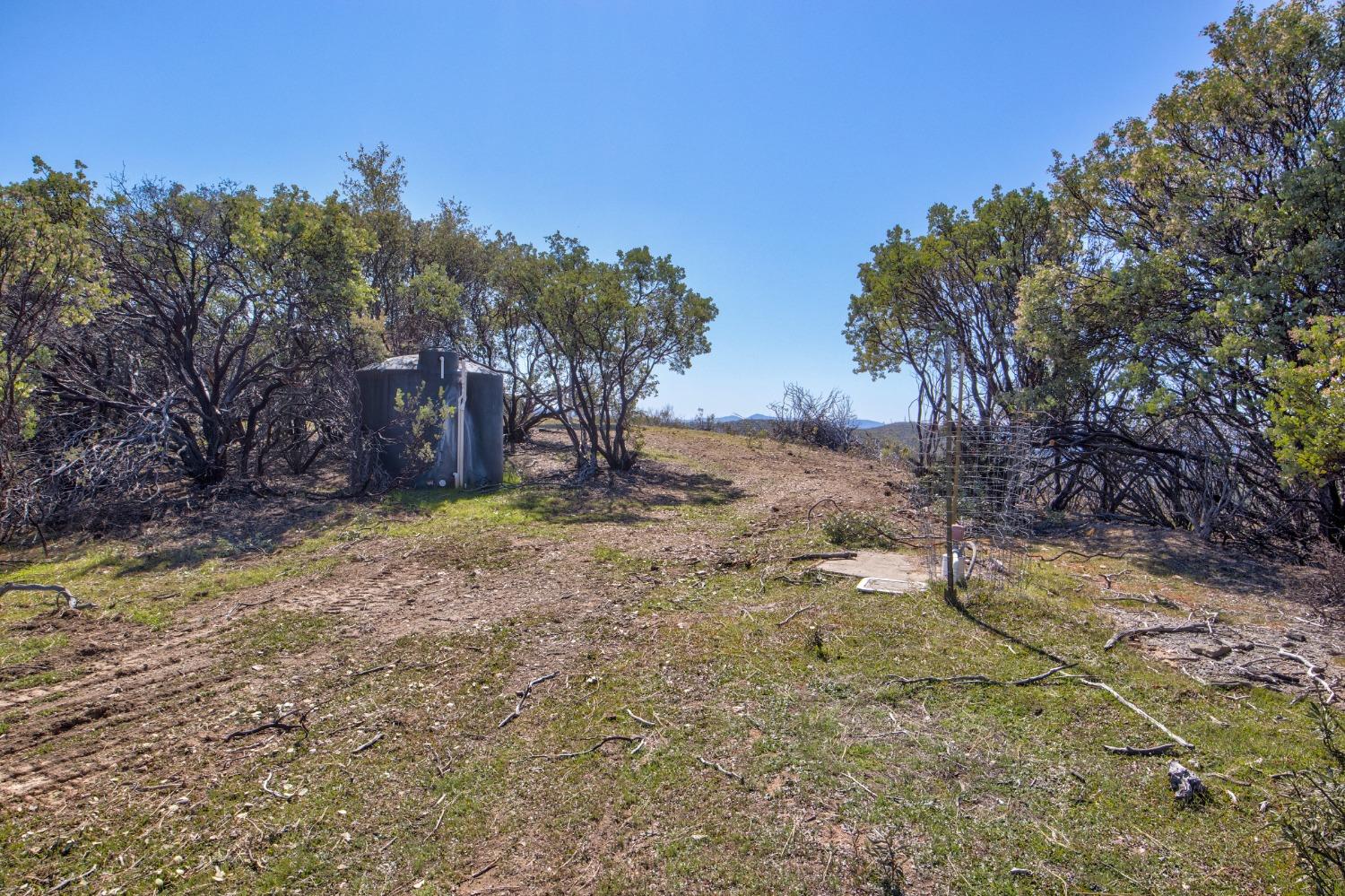 7005 Mountain Ranch Road Mountain Ranch, CA 95246 - Photo 61 of 90 a view of backyard with green space