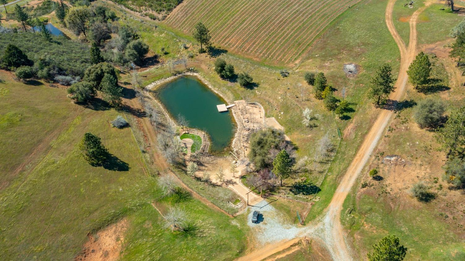 7005 Mountain Ranch Road Mountain Ranch, CA 95246 - Photo 68 of 90