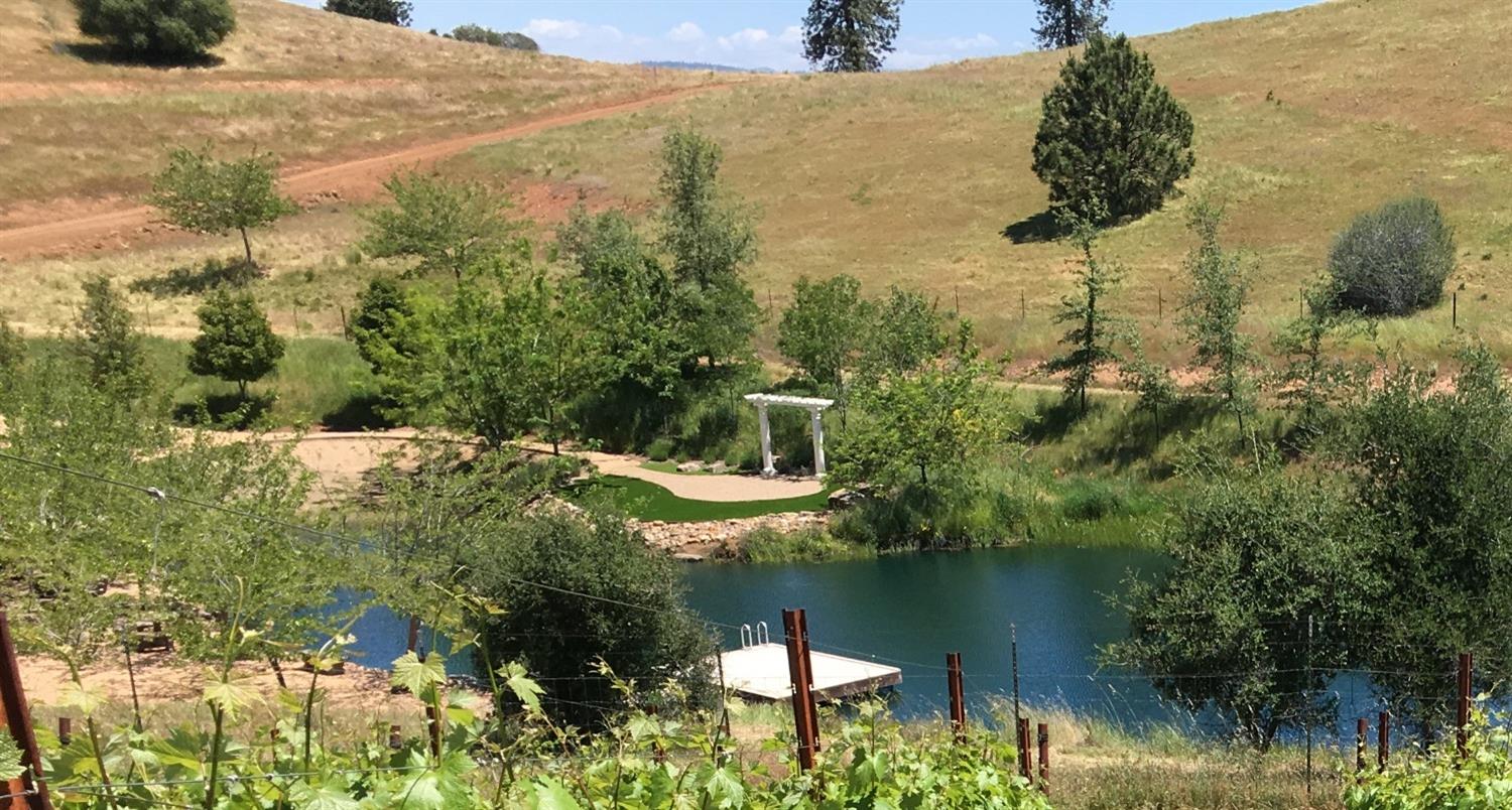 7005 Mountain Ranch Road Mountain Ranch, CA 95246 - Photo 7 of 90 a view of lake