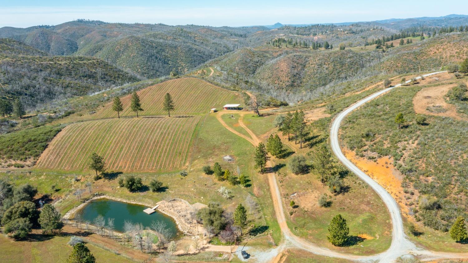 7005 Mountain Ranch Road Mountain Ranch, CA 95246 - Photo 75 of 90 a view of swimming pool with a yard