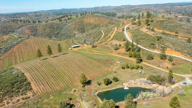 $1,350,000 | 7005 Mountain Ranch Road, Mountain Ranch, CA 95246