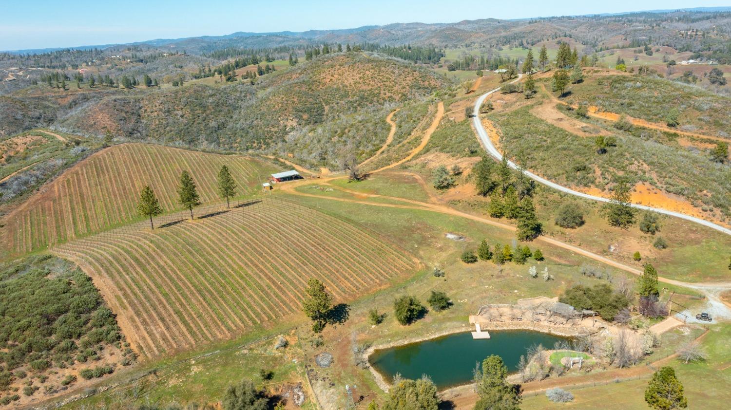 7005 Mountain Ranch Road Mountain Ranch, CA 95246 - Photo 76 of 90 a view of a lake