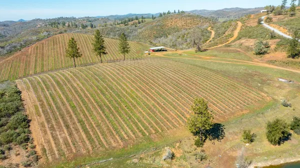 $1,350,000 | 7005 Mountain Ranch Road, Mountain Ranch, CA 95246