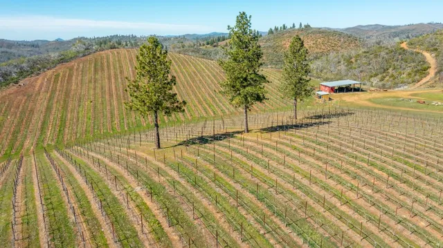 $1,350,000 | 7005 Mountain Ranch Road, Mountain Ranch, CA 95246