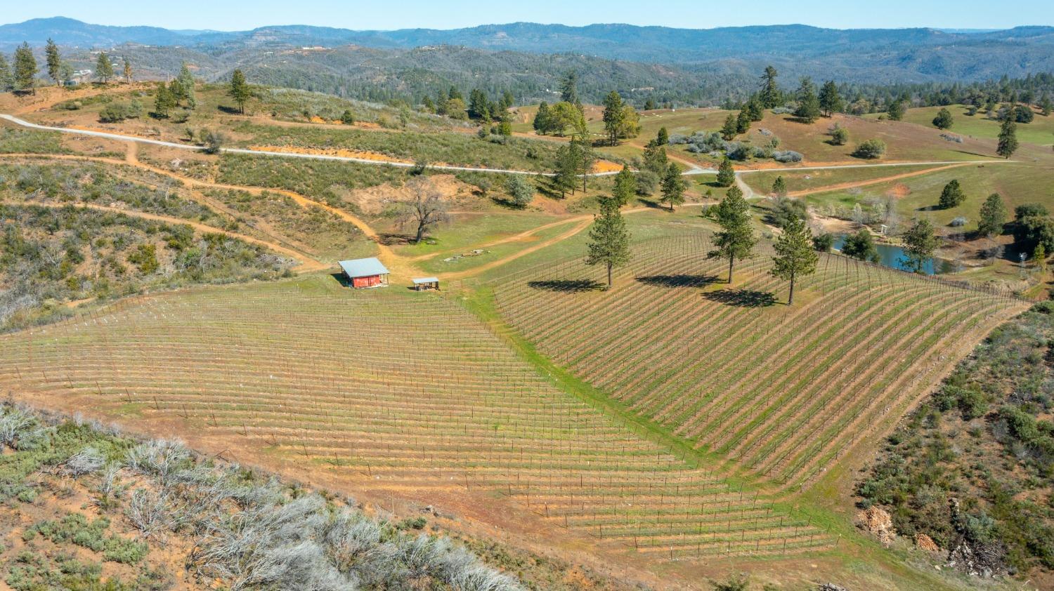 7005 Mountain Ranch Road Mountain Ranch, CA 95246 - Photo 79 of 90