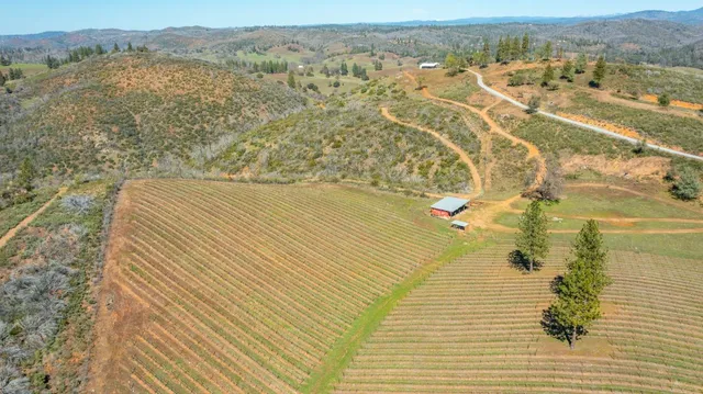 $1,350,000 | 7005 Mountain Ranch Road, Mountain Ranch, CA 95246