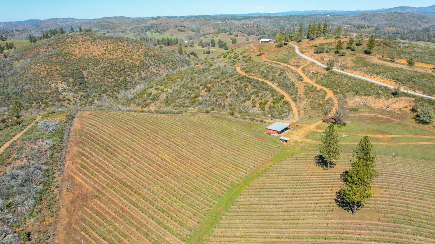 7005 Mountain Ranch Road Mountain Ranch, CA 95246 - Photo 80 of 90