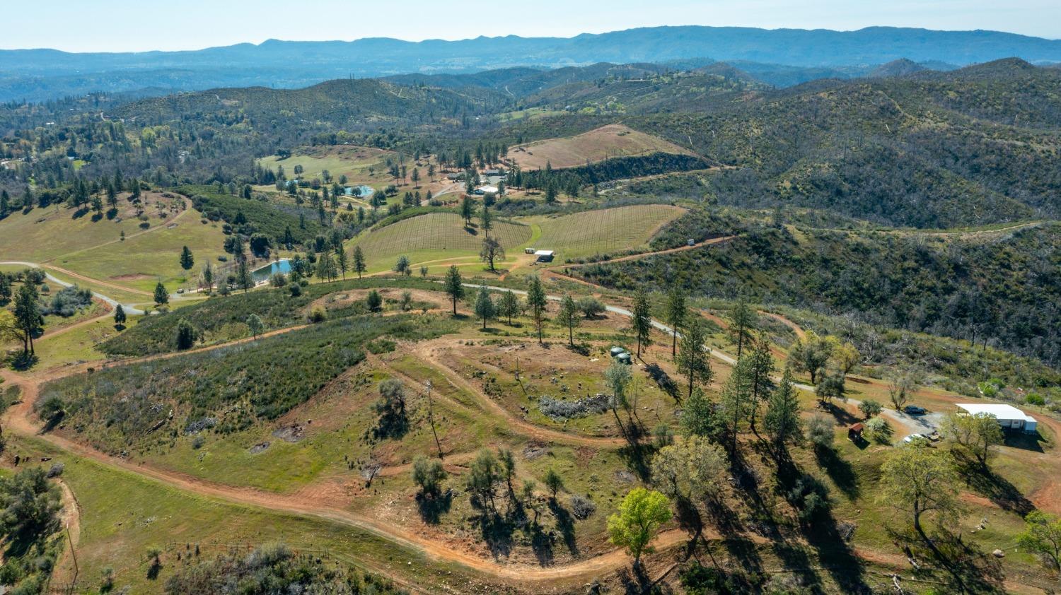 7005 Mountain Ranch Road Mountain Ranch, CA 95246 - Photo 84 of 90 an aerial view of residential house with outdoor space and trees