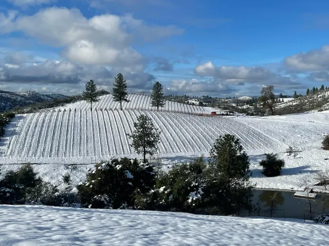 $1,350,000 | 7005 Mountain Ranch Road, Mountain Ranch, CA 95246