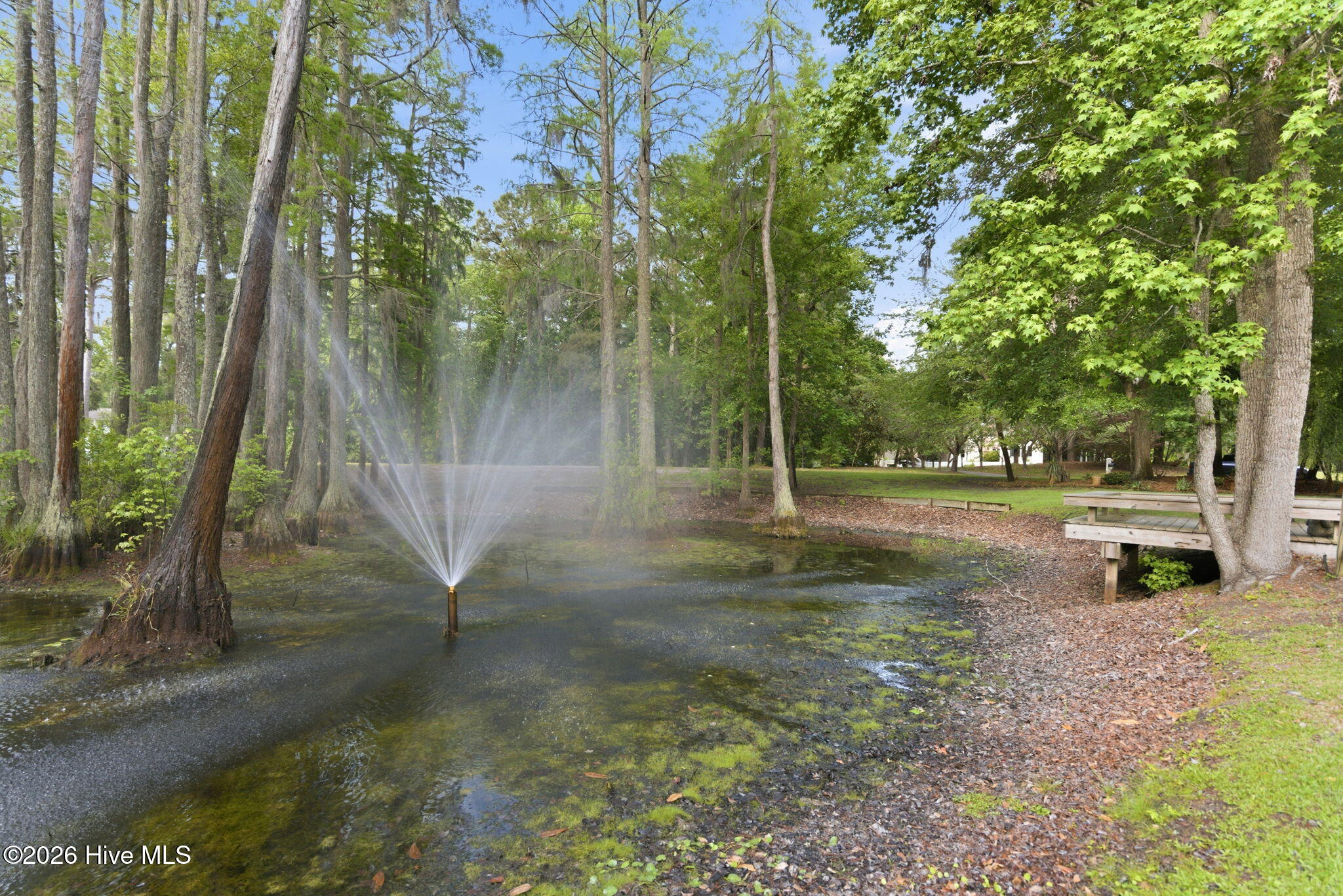410 Whitebridge Road Hampstead, NC 28443 - Photo 72 of 94 93-web-or-mls-DSC00791