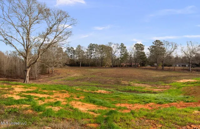 $429,000 | 125 B Barr Hill Drive, Magee, MS 39111