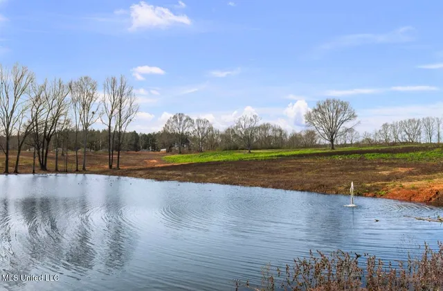 $429,000 | 125 B Barr Hill Drive, Magee, MS 39111