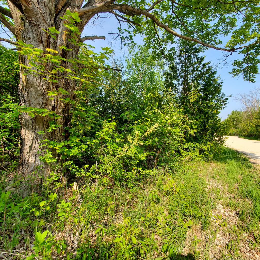 2340 German Road Baileys Harbor, WI 54202 - Photo 1 of 9
