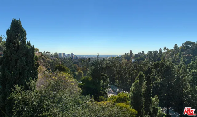 a view of a city with lush green forest