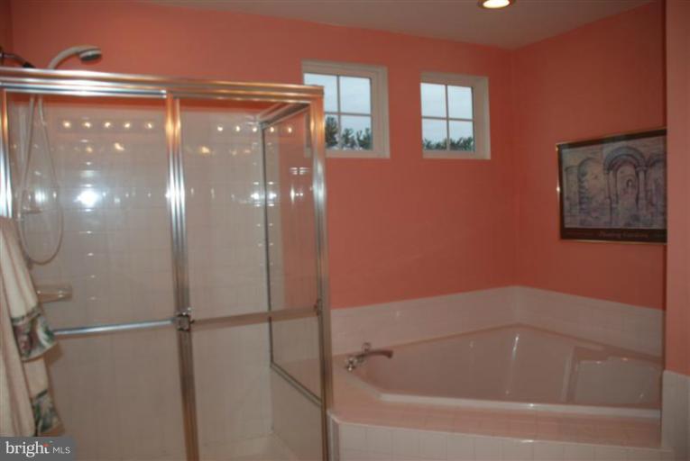 5919 Clear Ridge Road Elkridge, MD 21075 - Photo 11 of 30 Bath (Master)