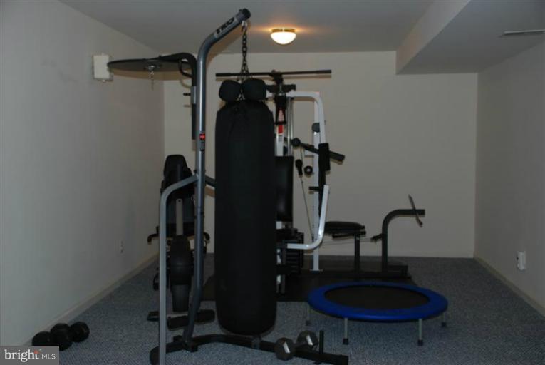 5919 Clear Ridge Road Elkridge, MD 21075 - Photo 16 of 30 Basement