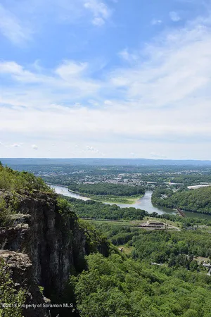 a view of a city with lots of trees