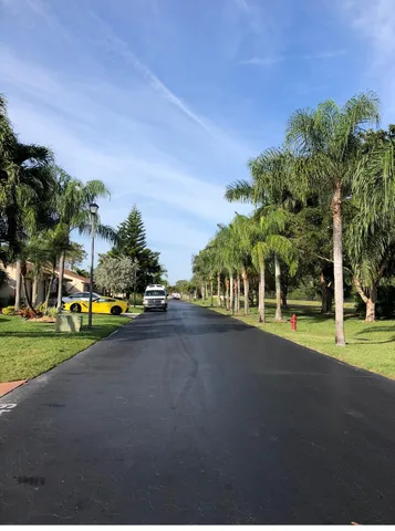 a view of a park with large trees