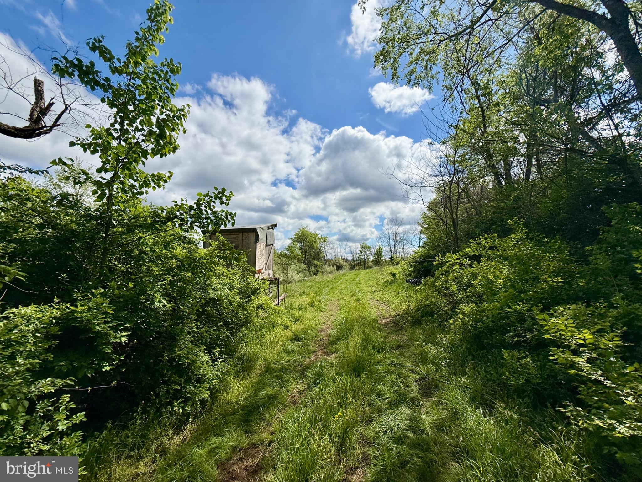 0 Creek Road Shermans Dale, PA 17090 - Photo 4 of 14 Pathway to Nature's Embrace