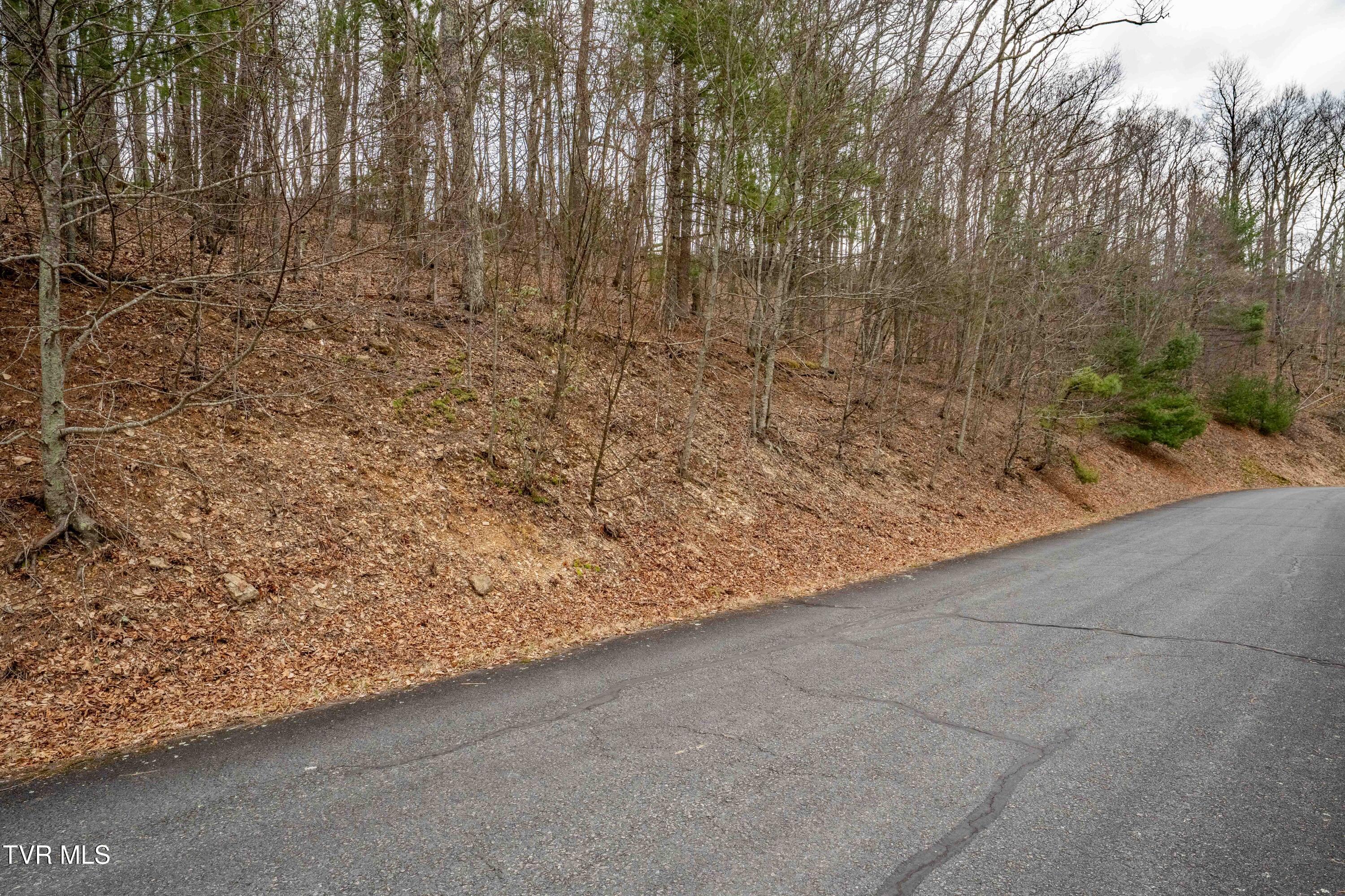 R-6 Callalantee Drive, Unit R6 Mountain City, TN 37683 - Photo 18 of 19 TBD CALLALANTEE DR (23 of 25)