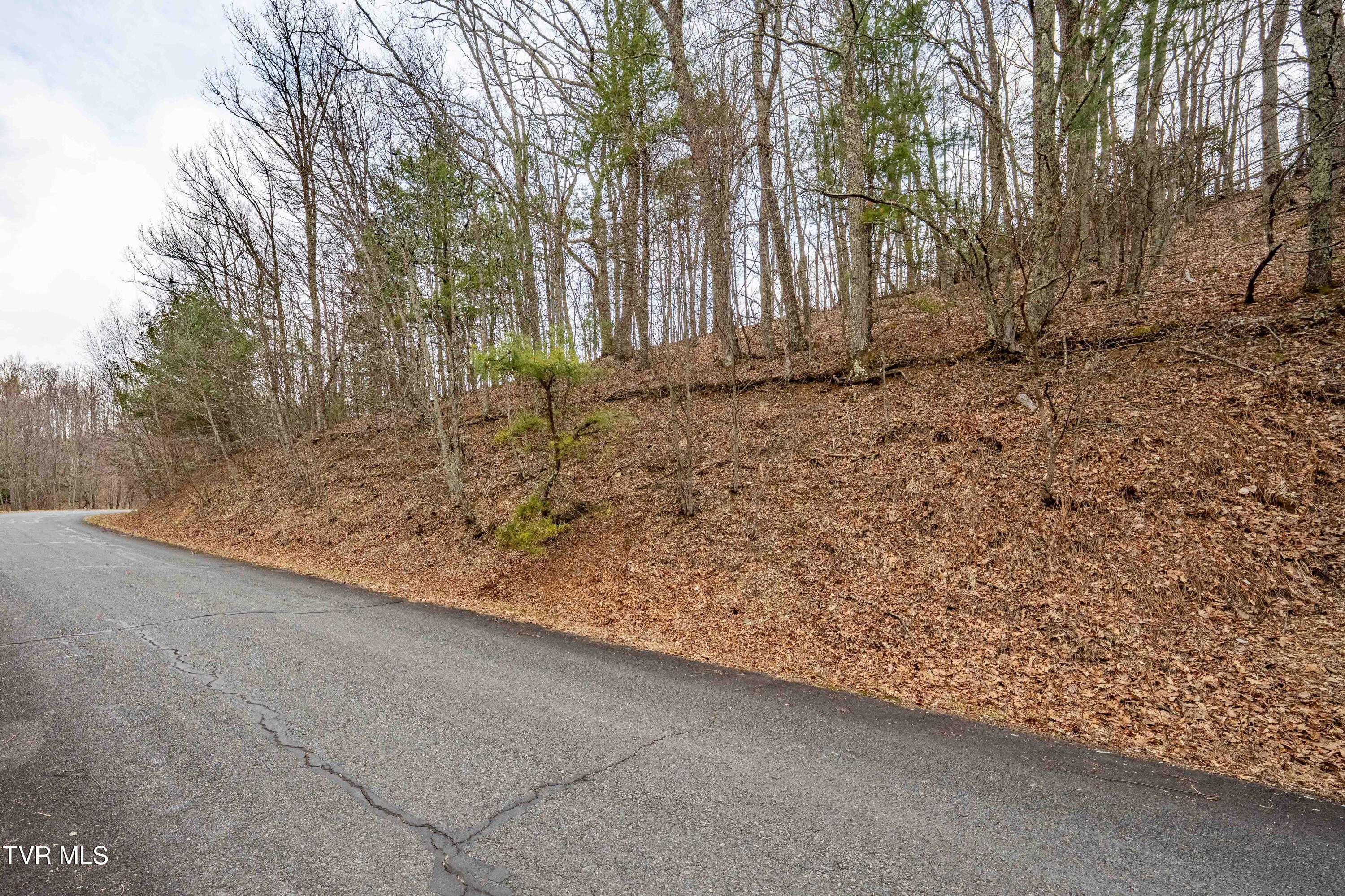 R-6 Callalantee Drive, Unit R6 Mountain City, TN 37683 - Photo 19 of 19 TBD CALLALANTEE DR (25 of 25)