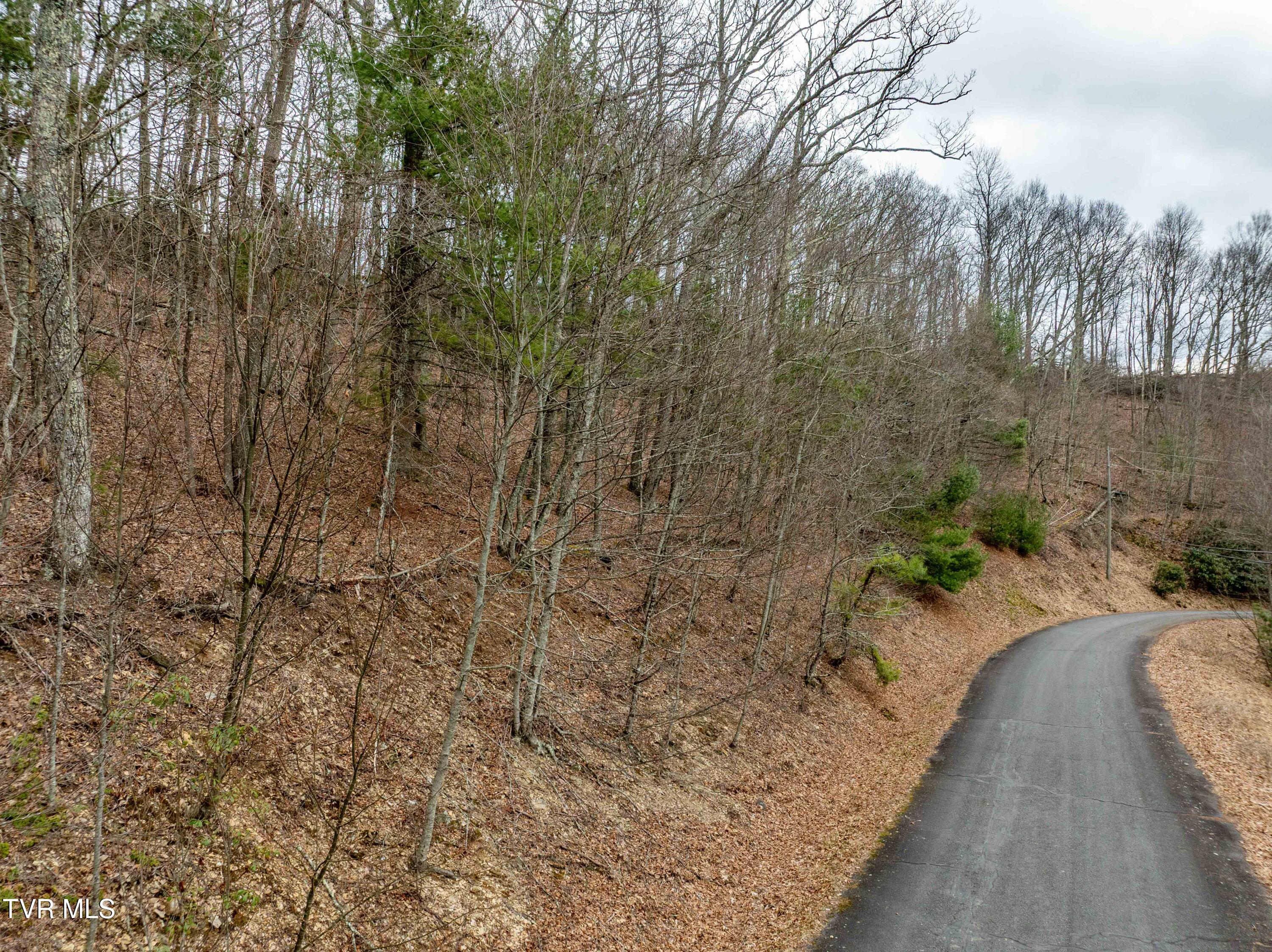 R-6 Callalantee Drive, Unit R6 Mountain City, TN 37683 - Photo 2 of 19 TBD CALLALANTEE DR (22 of 25)