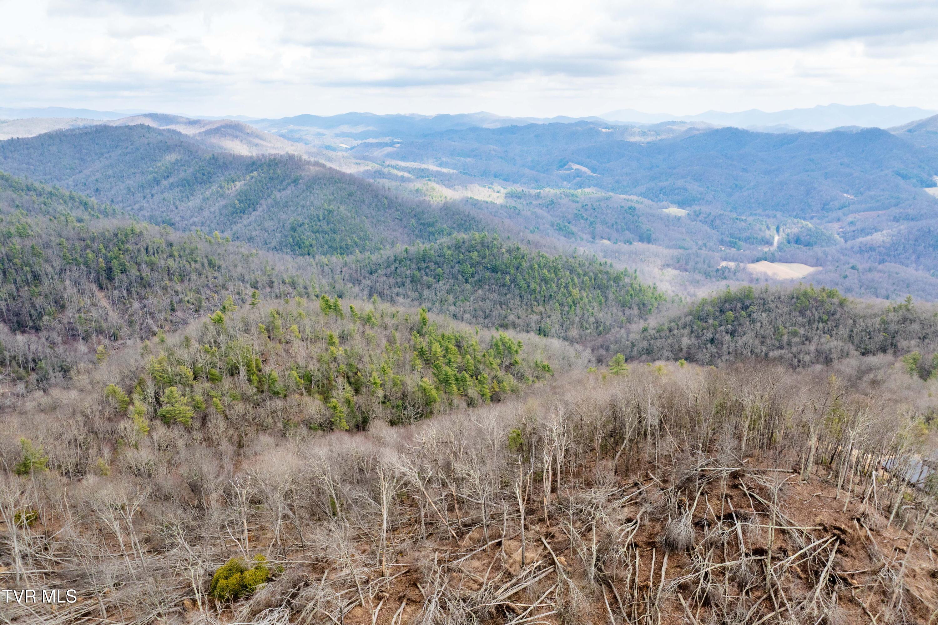 R-6 Callalantee Drive, Unit R6 Mountain City, TN 37683 - Photo 4 of 19 TBD CALLALANTEE DR (17 of 25)