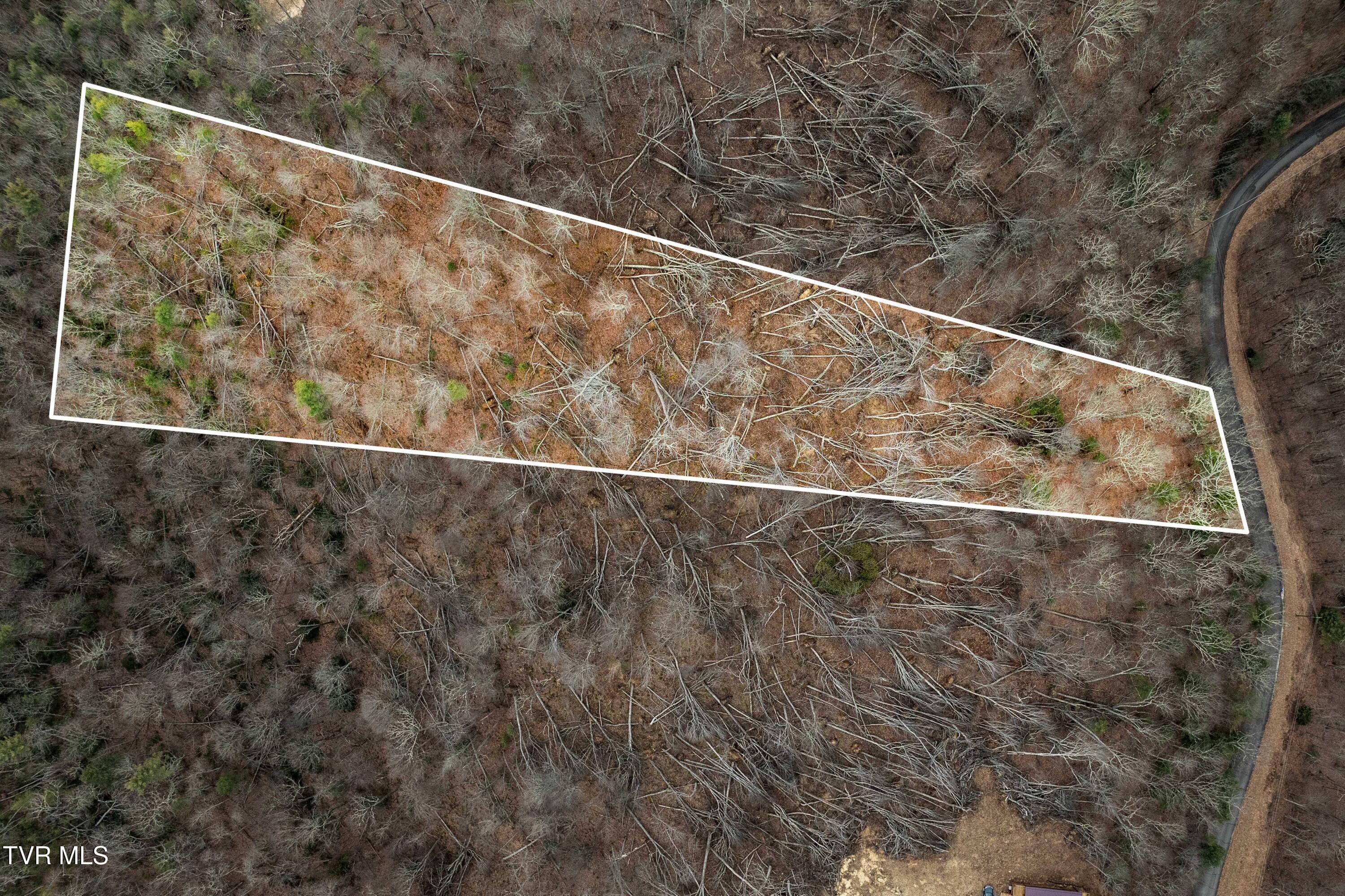 R-6 Callalantee Drive, Unit R6 Mountain City, TN 37683 - Photo 5 of 19 TBD CALLALANTEE DR (1 of 25)